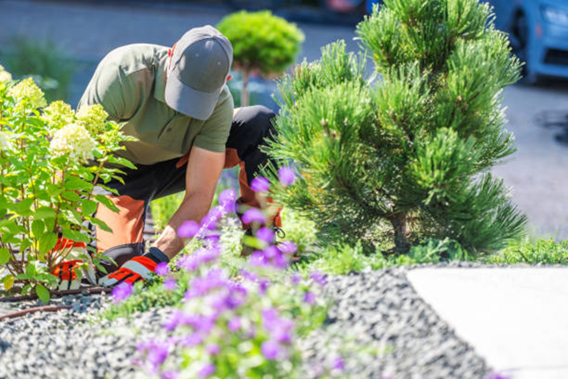 Top Trends in Landscape Installation for Modern Homes