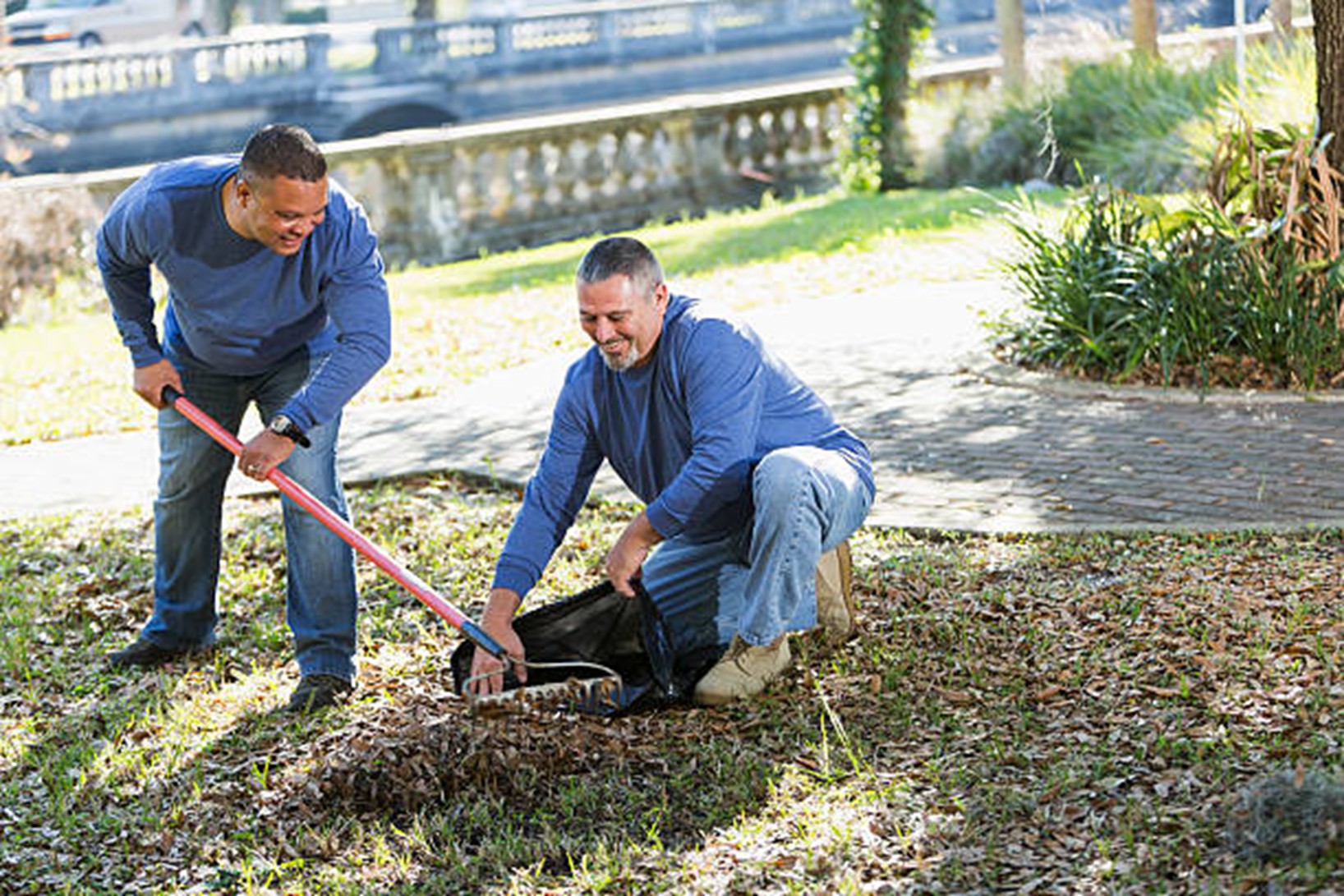 How Professional Landscape Maintenance Keeps Your Yard Healthy