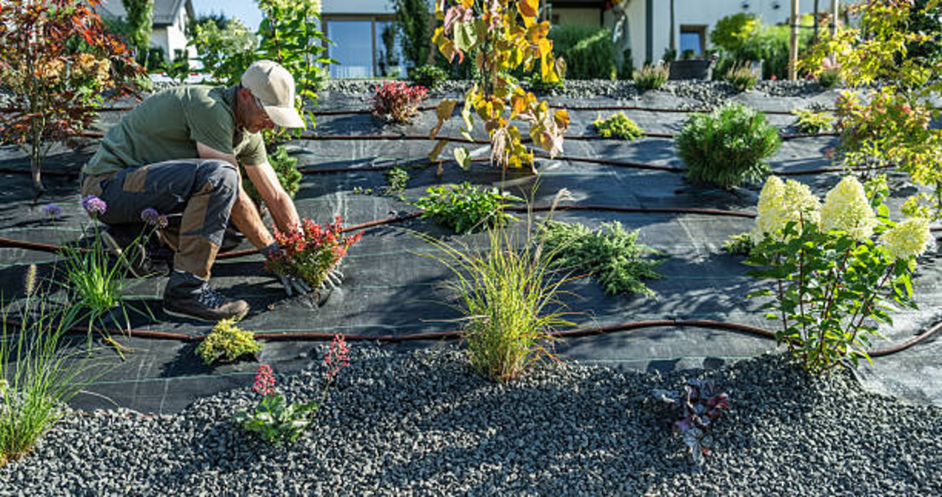 Why Homeowners in Hollister Choose Professional Gardeners