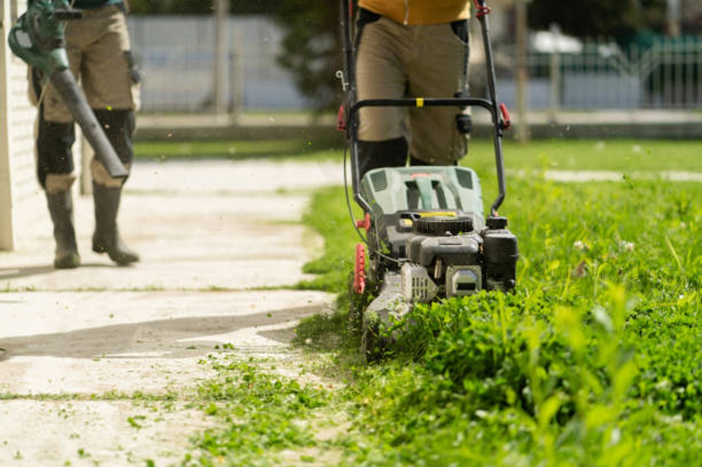 Why Lawn Care Services Are Important for Morgan Hill Homes?