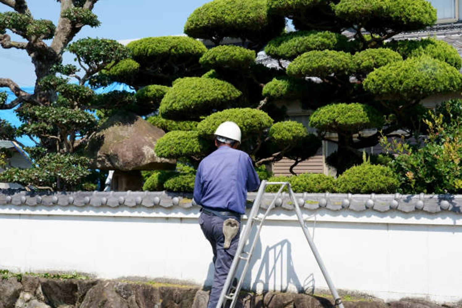 Property Safety and Appearance